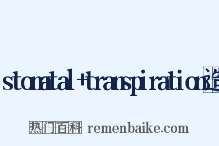 stomatal+transpiration造句是什么意思的图片